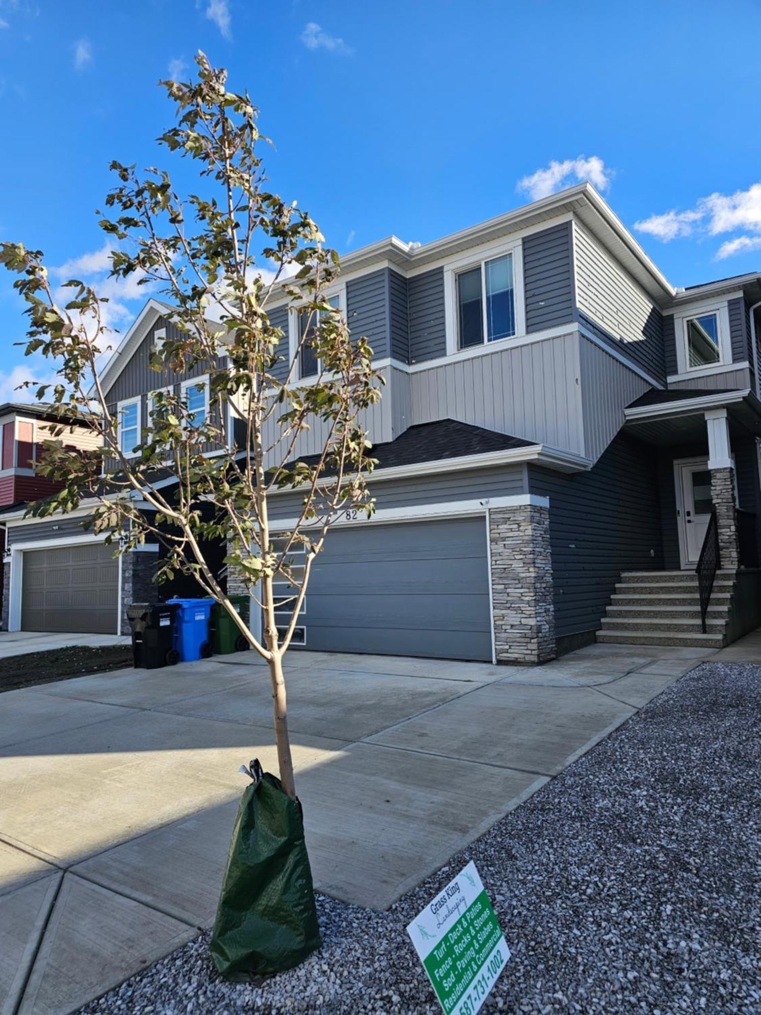 Cozy 2 Bedrooms And 1 Bath For 4 Guests! Calgary